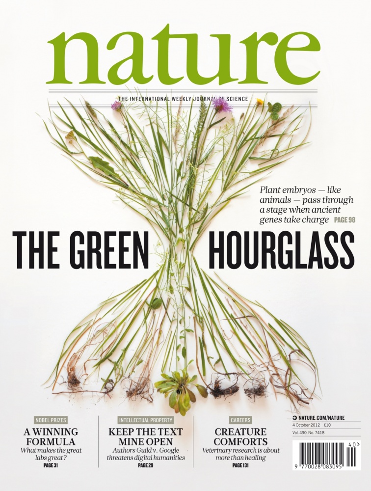 Bild Nature Cover