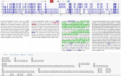 Digitale parametrisierbare synoptische Darstellung mehrerer Textvarianten