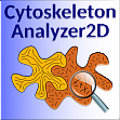 CytoskeletonAnalyzer2D
