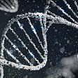 Codebuch der menschlichen Genregulation
